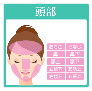 顔脱毛の範囲