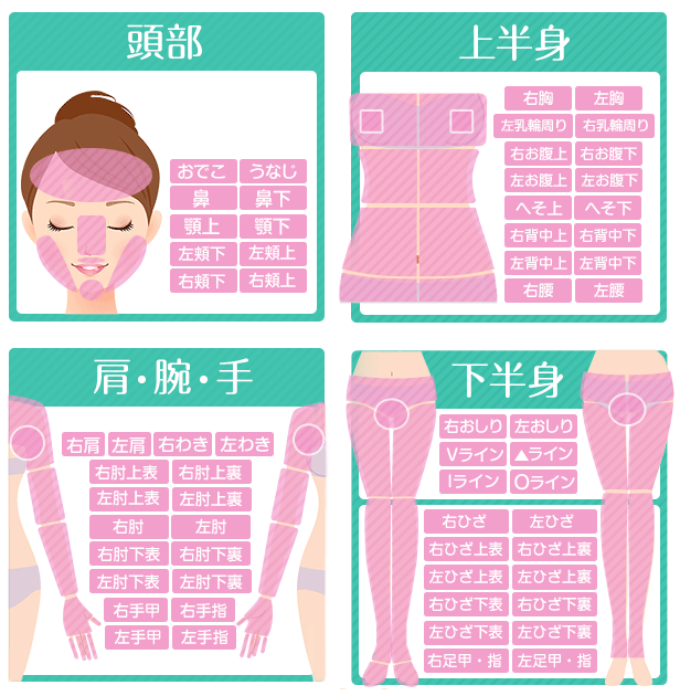 全身脱毛の部位
