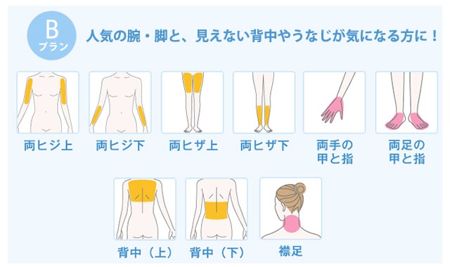 全身脱毛コースライトB
