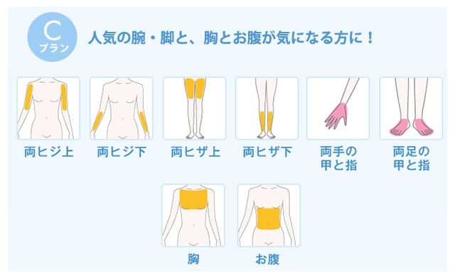 全身脱毛コースライトC