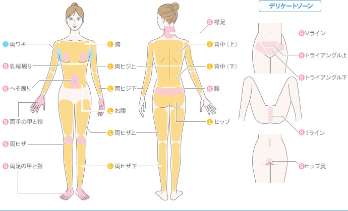 ミュゼプラチナムの全身脱毛コースの対象部位
