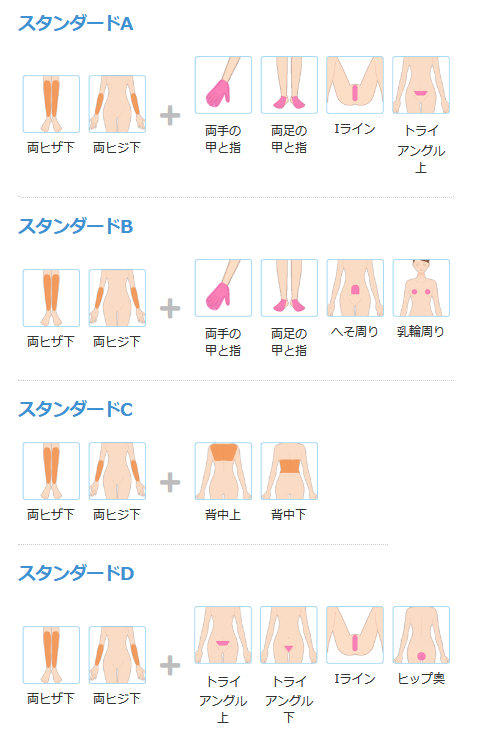 全身脱毛コースバリュー スタンダード