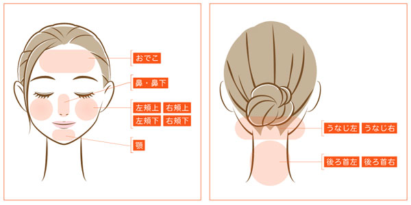 顔脱毛のパーツ