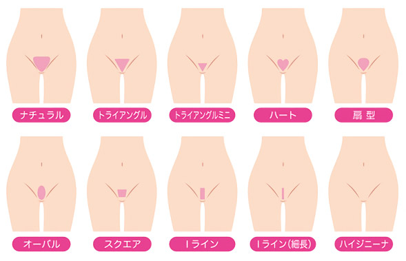 Vラインの形
