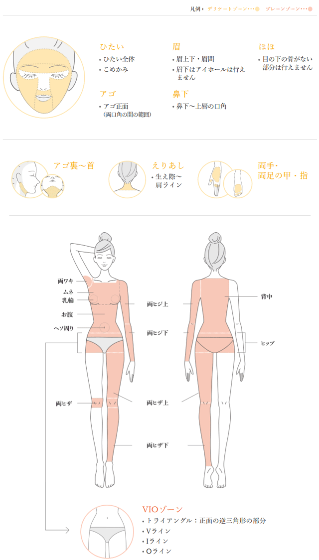 スーパー脱毛の部位