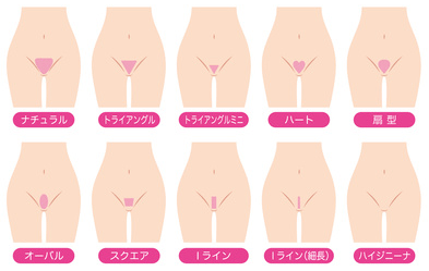 Vラインの形