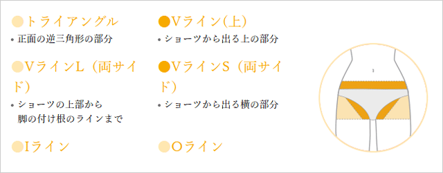 ライト脱毛の部位