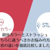 銀座カラーとストラッシュを比較