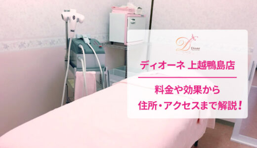 ディオーネ 上越鴨島店の口コミを調査！良い・悪い本当のところは？